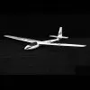 FMS ASW-17 2500mm ARTF FMS129P -Airplane Toy Store fms129p
