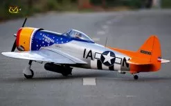 VQ P-47 D 50 SIZE (EP/GP) TAHEL HAL VERSION VQ Models VQA142DT